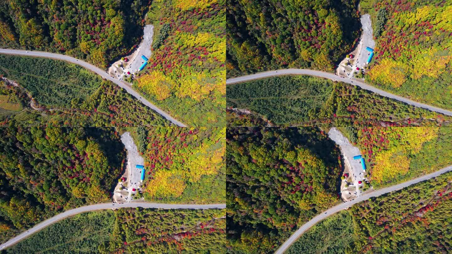 秋季风光 红叶 枫叶 农田 五花山 航拍