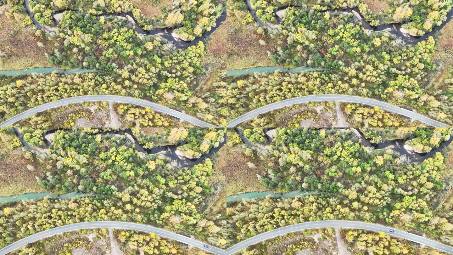 鸟瞰内蒙古呼伦贝尔行驶在秋季森林中的汽车
