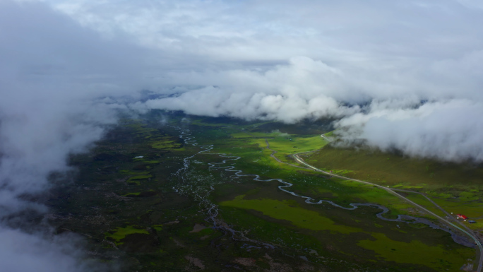 大自然森林云雾山水风景