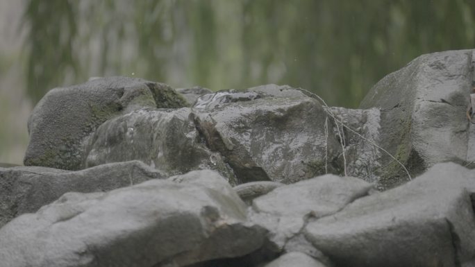 4K120雨中趵突泉 月牙泉