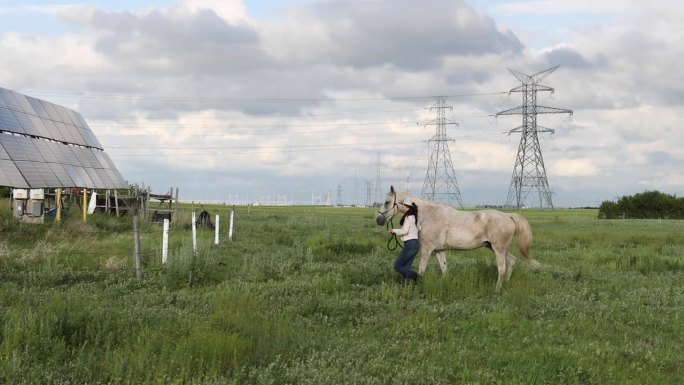 一位女农民在太阳能板旁遛马