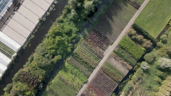 荷兰博斯科普的农业俯视图