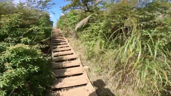 御岳山是横山和内武里岭之间的御岳岭上的最高峰。它交通便利，从新宿和东京到涩泽站大约需要80分钟。