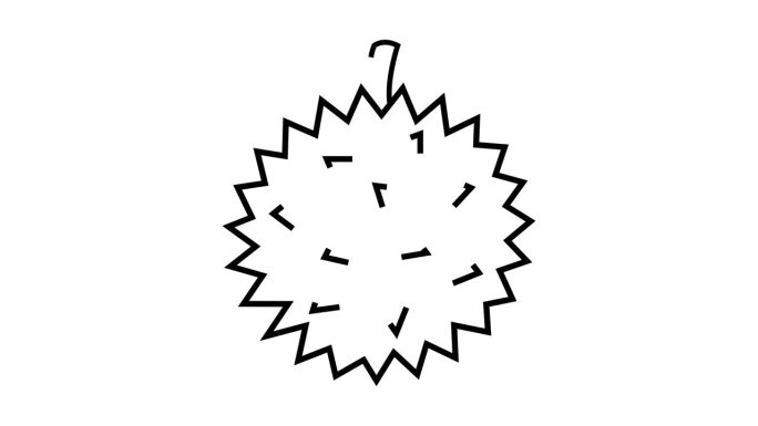 一个动画视频的草图形成一个榴莲