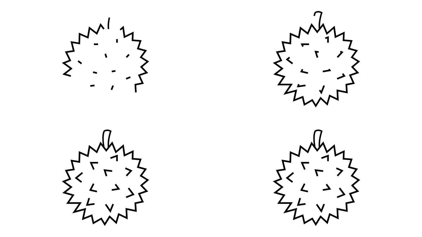 一个动画视频的草图形成一个榴莲