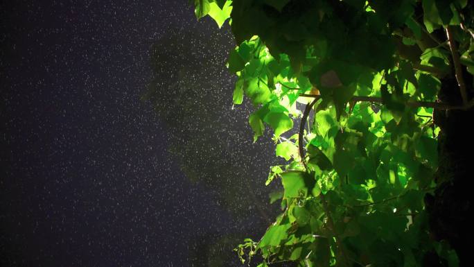 雨夜城市情绪氛围感空镜