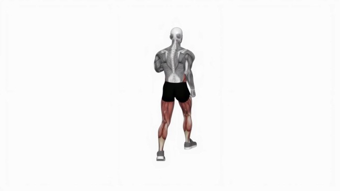 快走360度健身运动锻炼动画男性肌肉突出演示4K分辨率60 fps