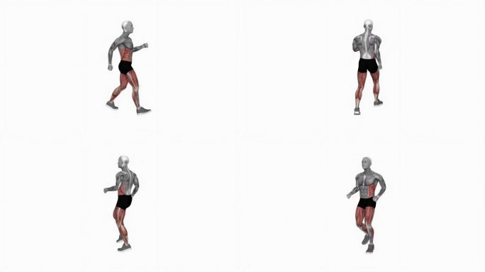 快走360度健身运动锻炼动画男性肌肉突出演示4K分辨率60 fps