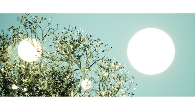 【4K虚幻空间】圆形光球树林自然风景视觉