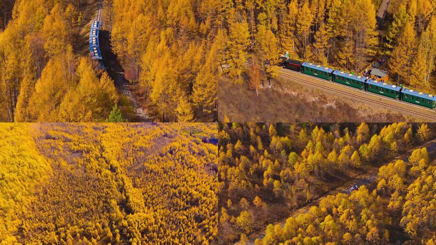 莫尔道嘎森林小火车
