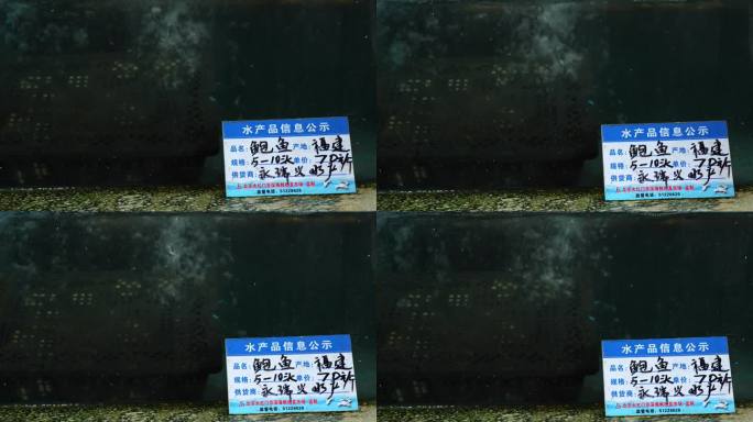 北京京深海鲜市场 北京鲍鱼 鲍鱼销售