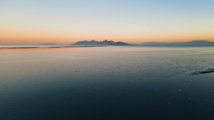 电影空中摄影从大盐湖到羚羊岛，成群的海鸥在日落时翱翔