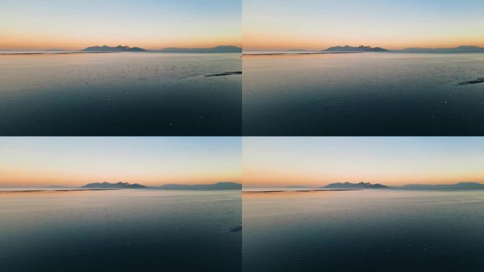 电影空中摄影从大盐湖到羚羊岛，成群的海鸥在日落时翱翔
