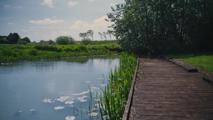 池塘与水生植物旁边的木码头，跟踪电影镜头