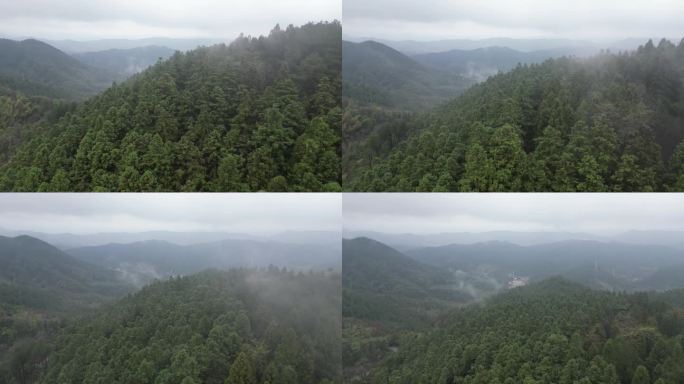 大自然绿色植物森林蜿蜒盘山公路云雾缭绕