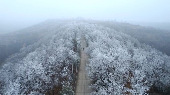 延安宣川凤翅山雾淞