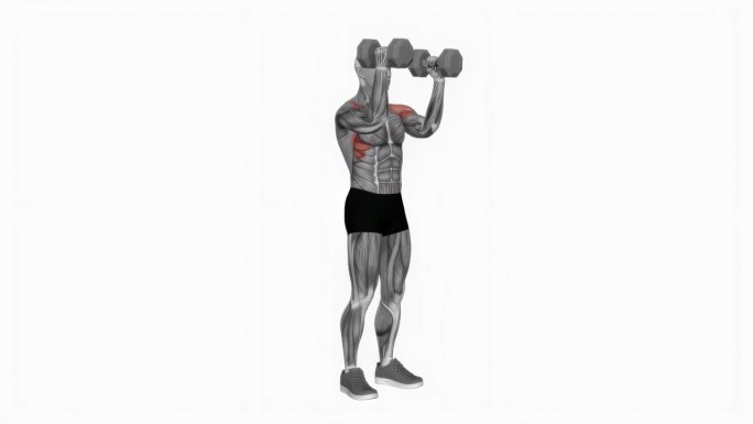 哑铃斯科特按360度健身运动锻炼动画男性肌肉突出演示4K分辨率60 fps