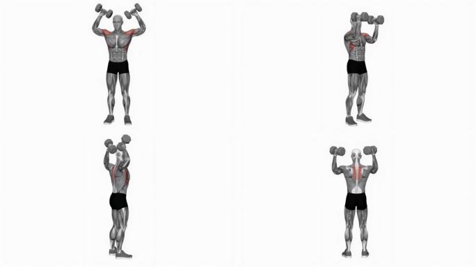 哑铃斯科特按360度健身运动锻炼动画男性肌肉突出演示4K分辨率60 fps