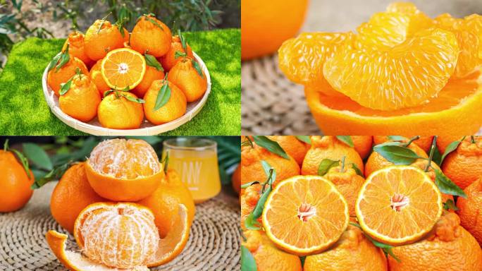 新鲜丑橘 粑粑柑
