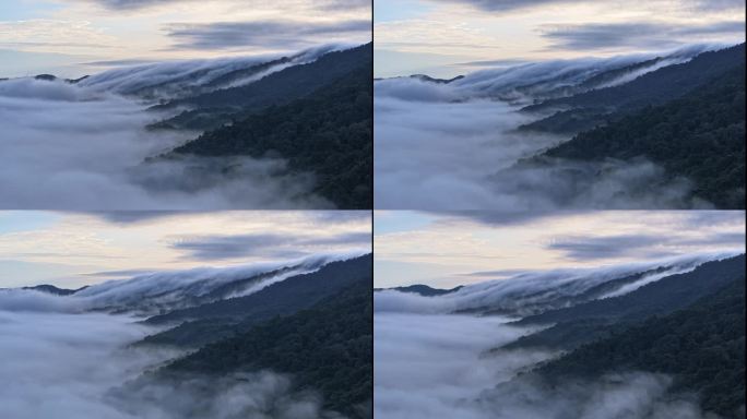 被原始森林覆盖的山脉云雾缭绕延时视频_1