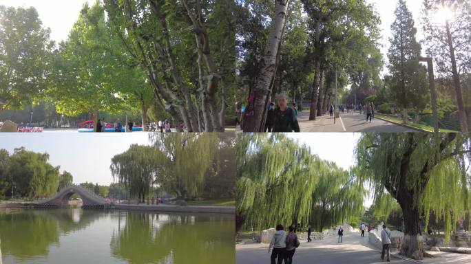 北京龙潭湖公园晨练舞剑跳舞广场舞全民健身
