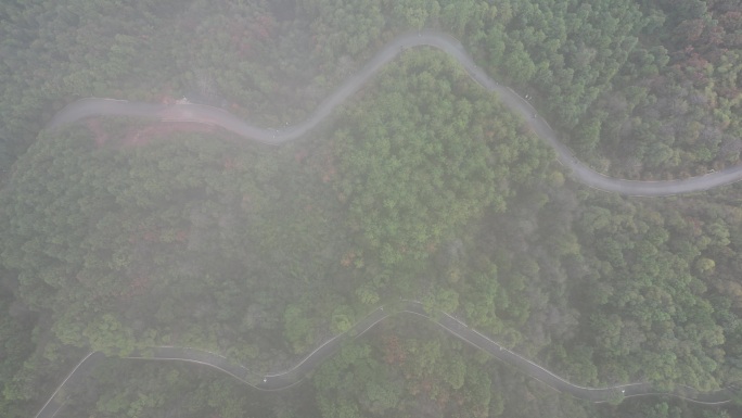 大自然绿色植物森林蜿蜒盘山公路云雾缭绕