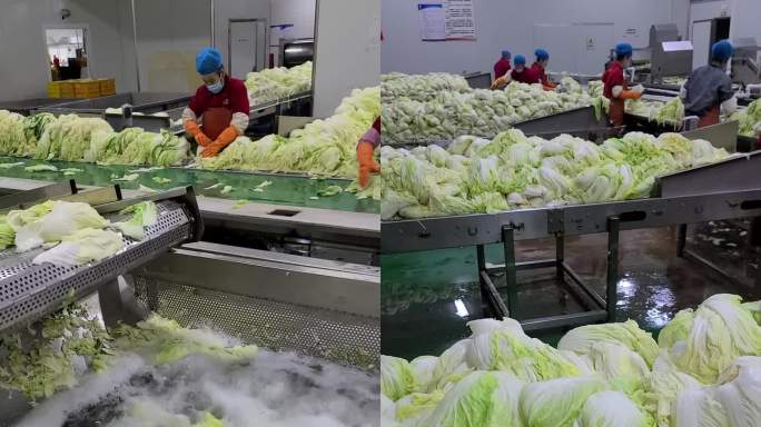辣白菜泡菜工厂生产线