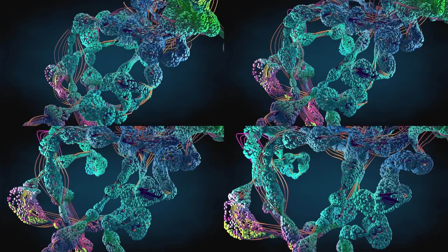 氨基酸链或生物分子称为蛋白质-三维插图