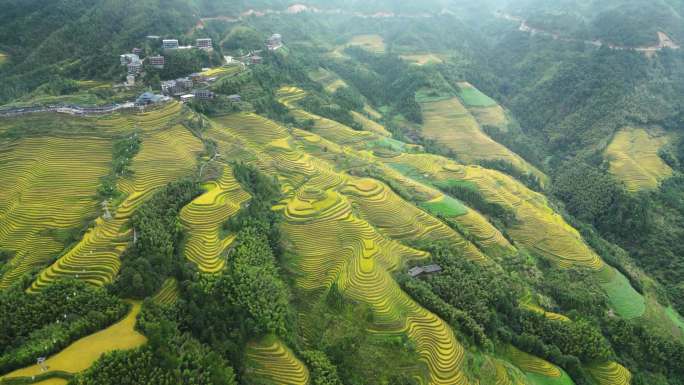 龙脊梯田 广西桂林龙脊梯田 梯田