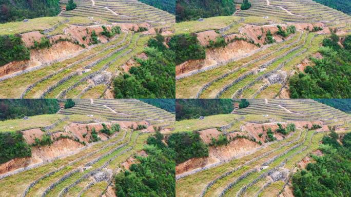 高山大地，山坡上的土地，台地