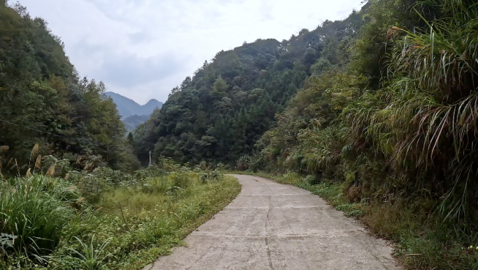 车辆行驶在蜿蜒曲折的山路第一视角