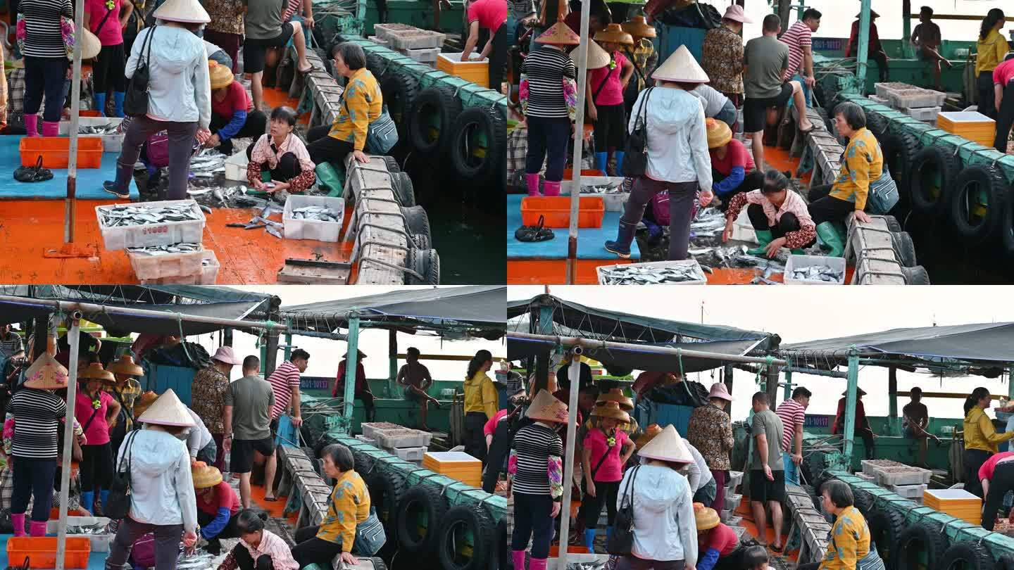 海南儋州洋浦白马井渔港早上渔船回归，新鲜