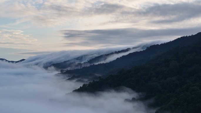 云雾中的原始森林