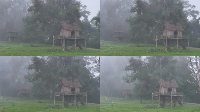 云雾中的树上童话小木屋