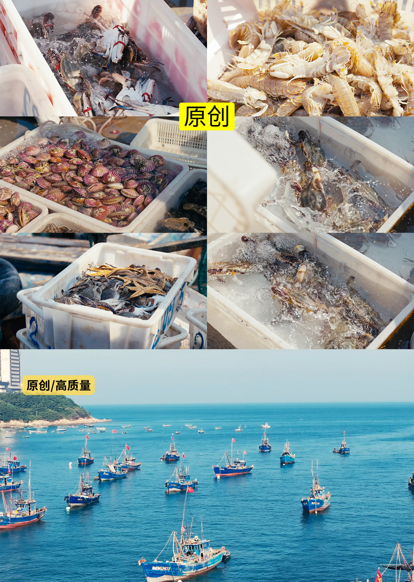 海鲜市场新鲜捕捞的海鲜4K