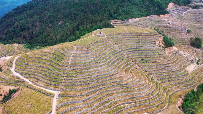 高山大地，山坡上的土地，台地