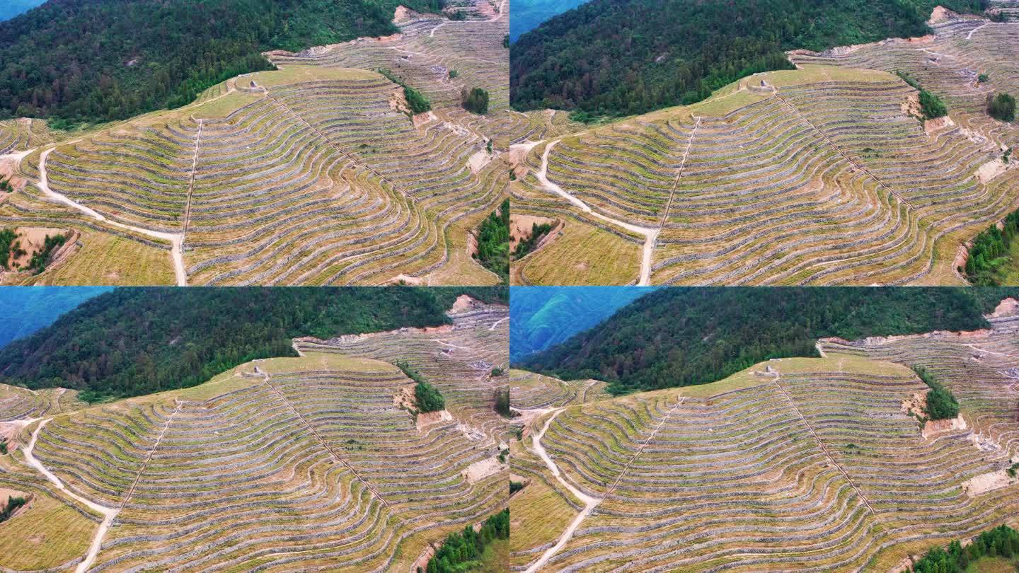 高山大地，山坡上的土地，台地