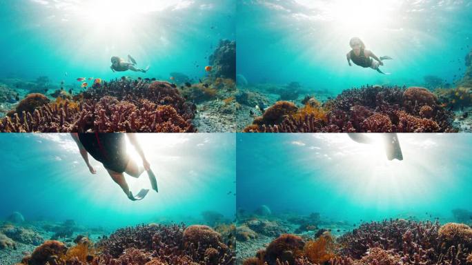 性感女人在暗礁上自由潜水。年轻健康的女性自由潜水员在水下游过印度尼西亚巴厘岛努沙佩尼达岛附近健康的珊