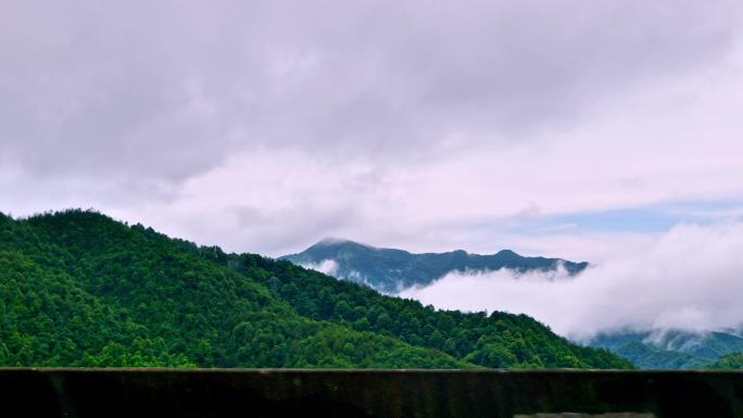 路边风景