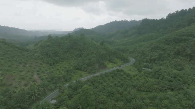泰国攀牙Samed Nang Chee雨林鸟瞰图