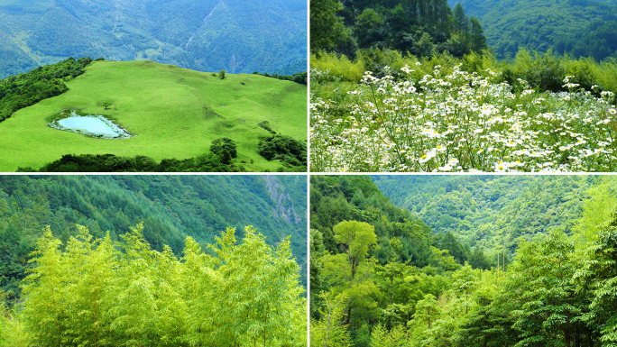 自然风景山水风光森林山山川河流大自然风景