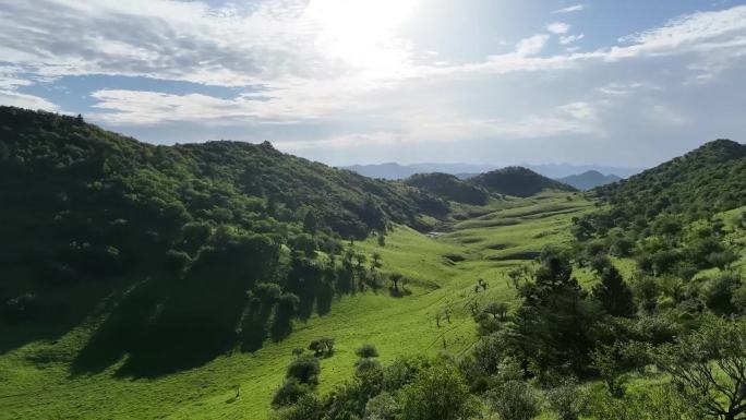 高山草甸 丹江口水库