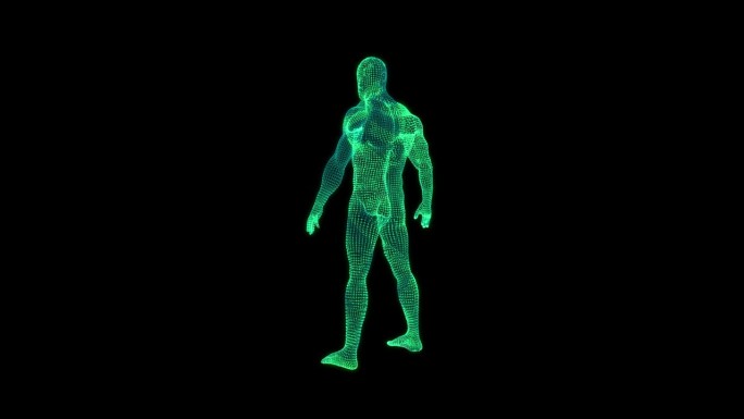 扫描人体三维线框人体三维线框