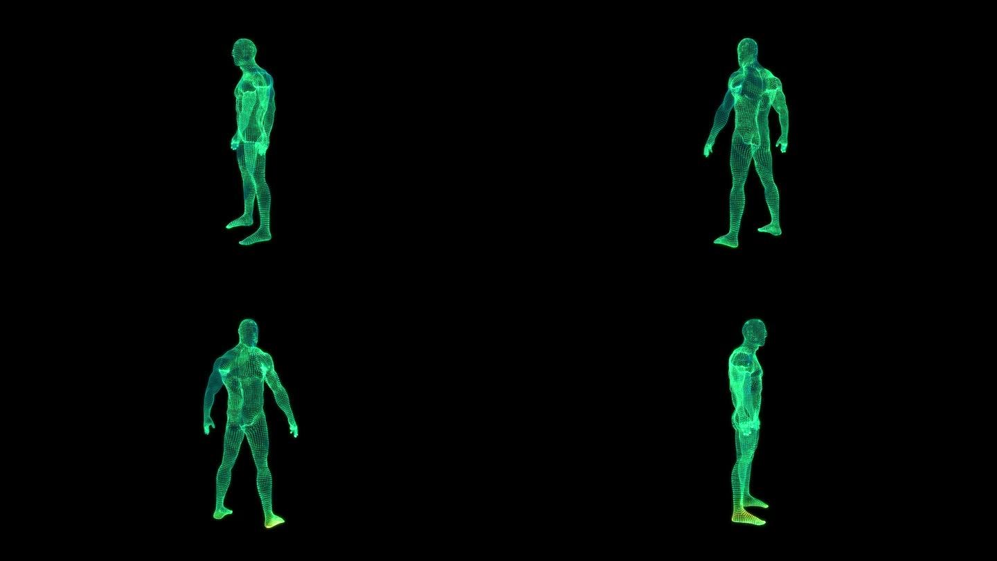扫描人体三维线框人体三维线框