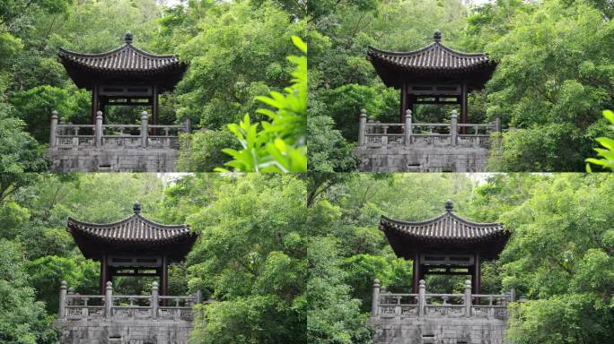中国古典园林、江南园林、深圳园博园