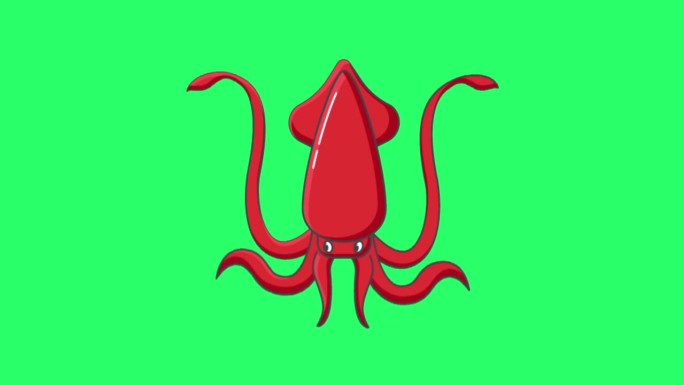 动画红色鱿鱼在绿色背景。