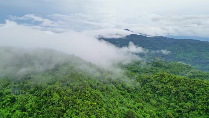海南保亭黎族自治县热带雨林云海高视角航拍