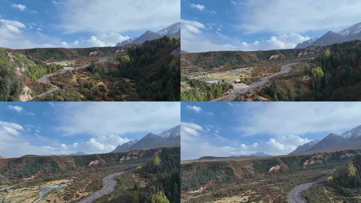 河西走廊 张掖 马蹄寺  森林 祁连山