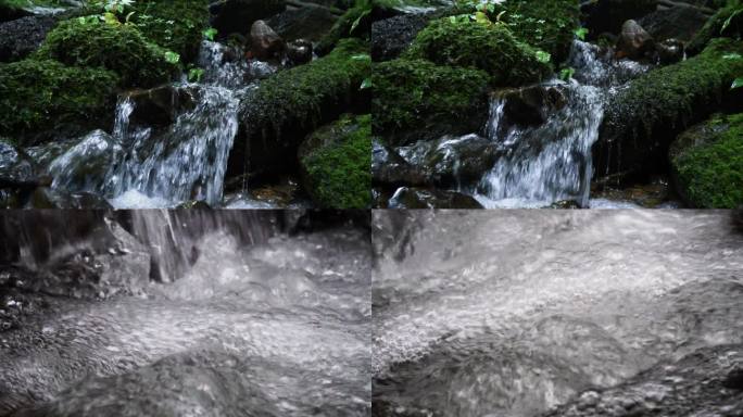 原始森林水  酒水浪花 大自然 植物生长