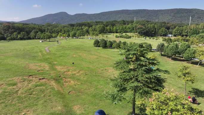 南京钟山体育公园合集